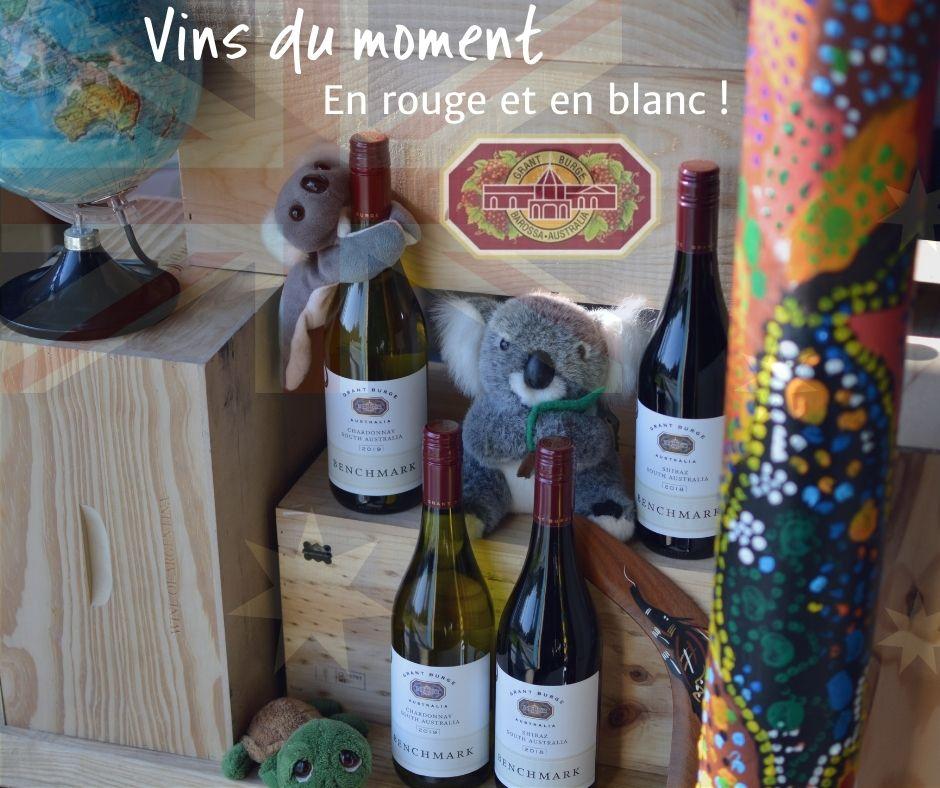 Lire la suite à propos de l’article Vins du mois | Octobre 2021