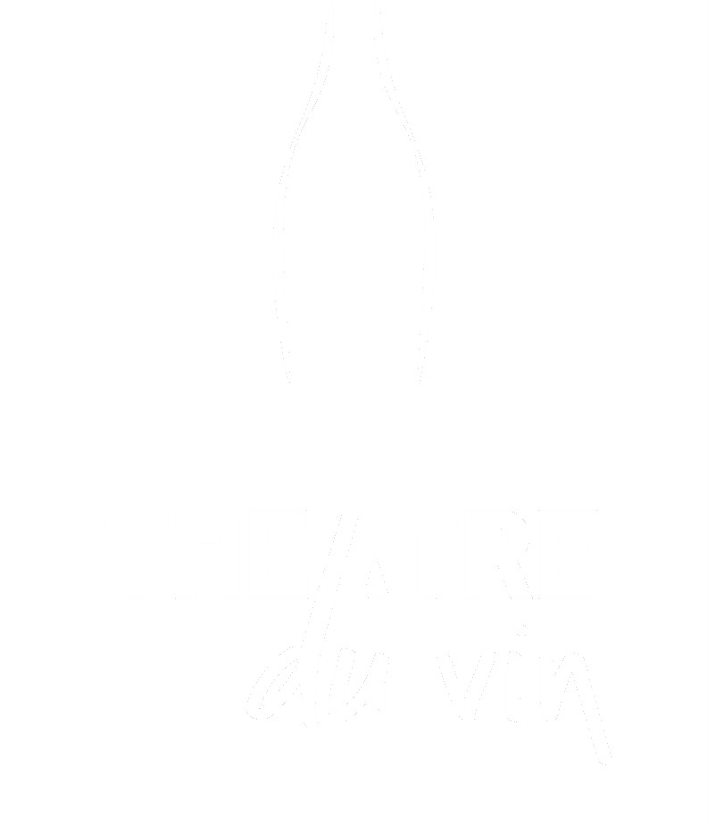 tdv logo sans trame