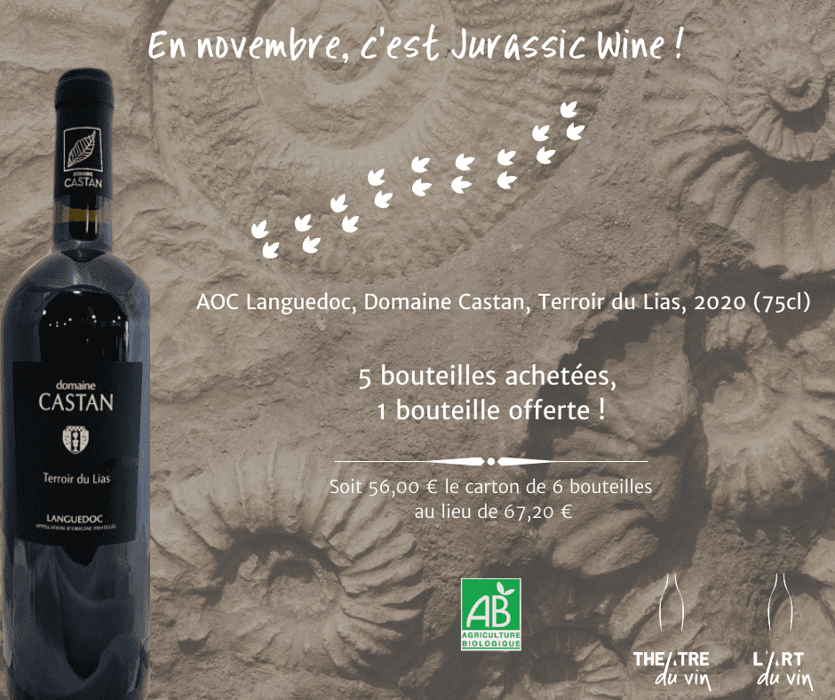 Lire la suite à propos de l’article Vin du mois | Novembre 2022